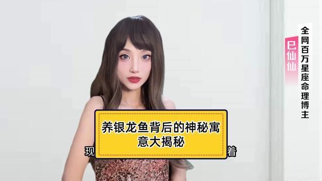 銀龍魚在風水中的象征意義，銀龍魚在風水中的象征意義, 銀龍魚在風水中的象征意義，銀龍魚在風水中的象征意義, 龍魚百科 第1張