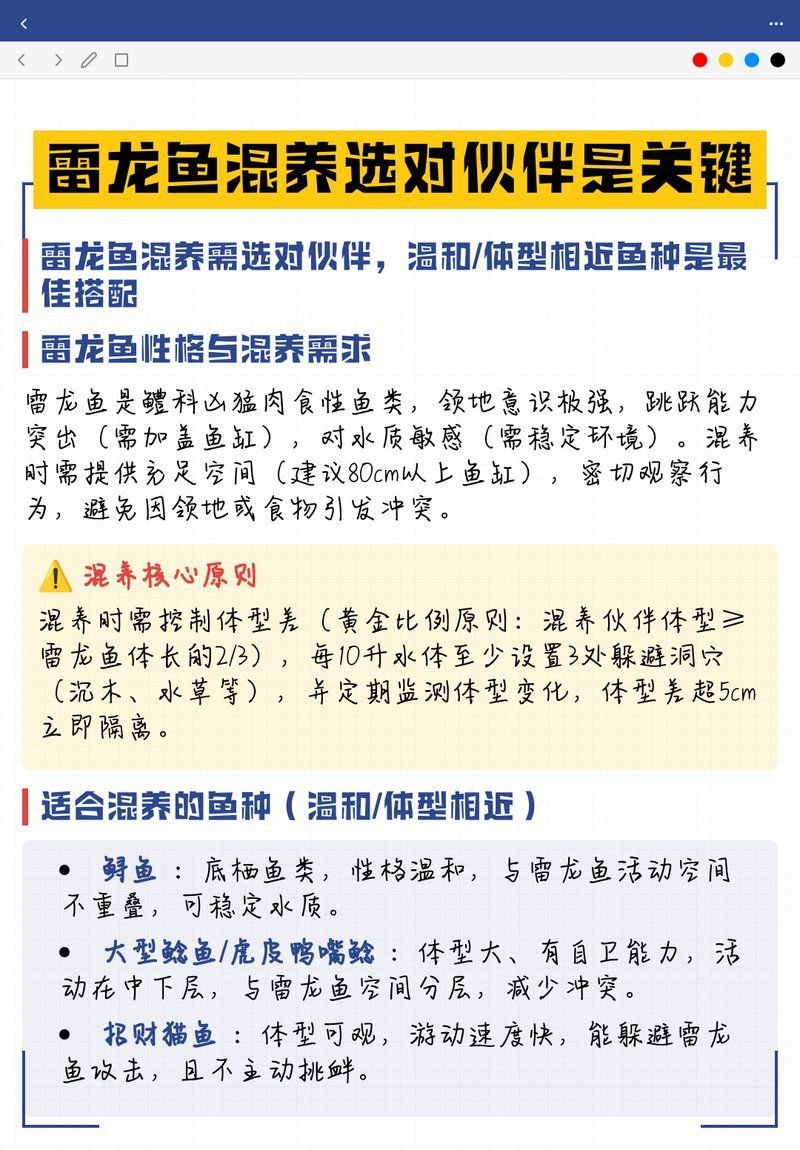 如何判斷雷龍魚是否適應混養，如何判斷雷龍魚是否適應混養雷龍魚是否適應混養 如何判斷雷龍魚是否適應混養，如何判斷雷龍魚是否適應混養雷龍魚是否適應混養 龍魚百科 第2張