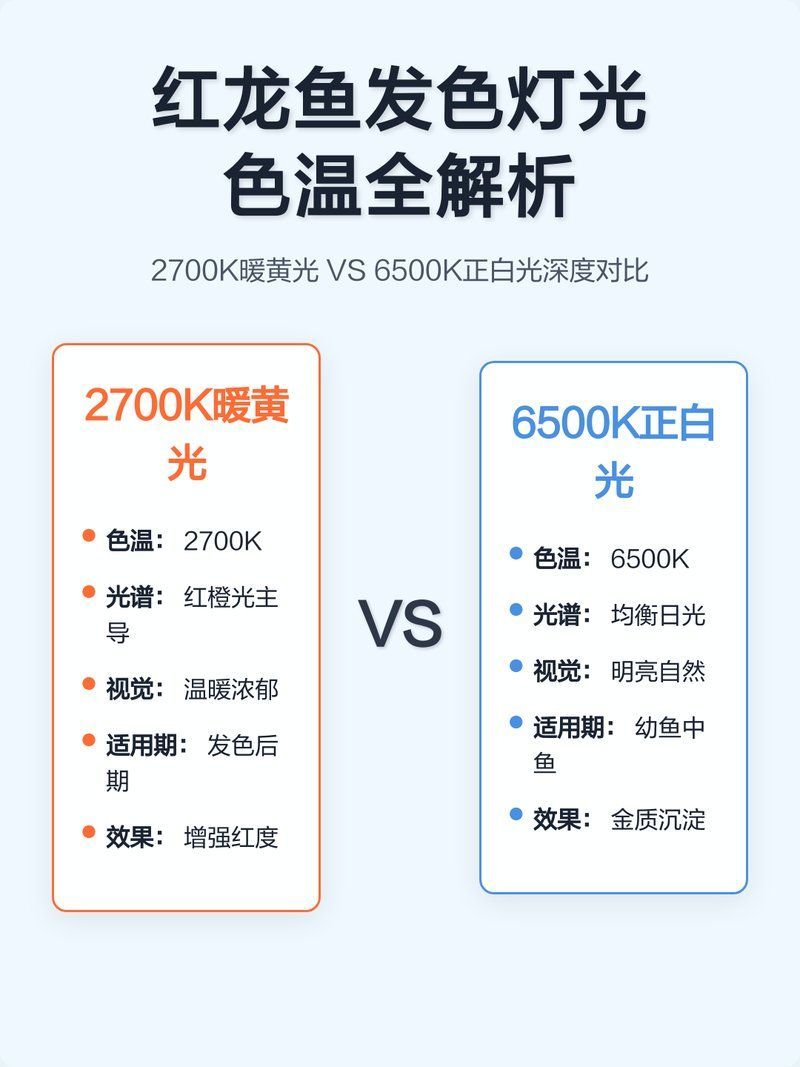龍魚增色燈的最佳色溫是多少？，龍魚增色燈的最佳色溫是多少龍魚增色燈的最佳色溫是多少 龍魚增色燈的最佳色溫是多少？，龍魚增色燈的最佳色溫是多少龍魚增色燈的最佳色溫是多少 龍魚百科 第9張