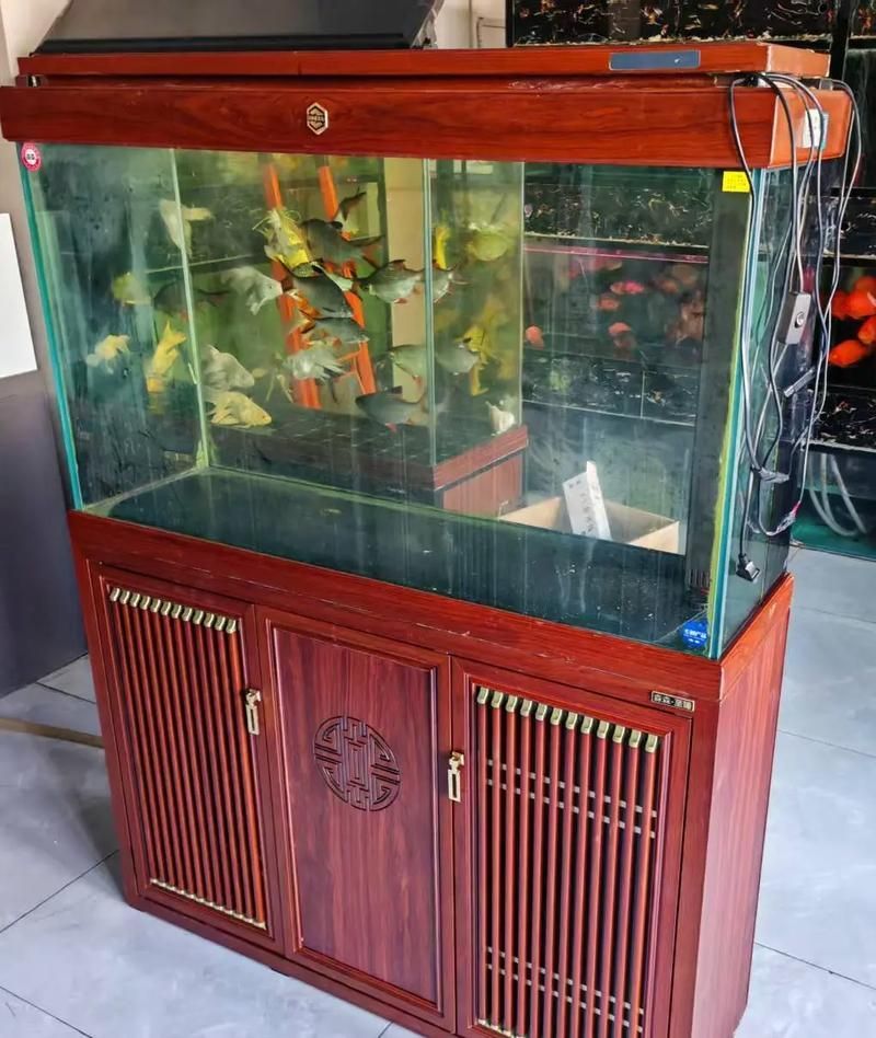 森森魚缸蓋子材質(zhì)是什么？，森森魚缸蓋子價格是多少？ 森森魚缸蓋子材質(zhì)是什么？，森森魚缸蓋子價格是多少？ 龍魚百科 第5張