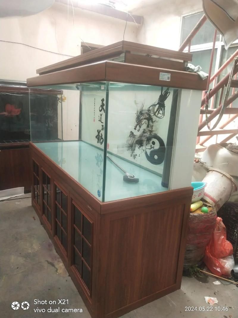 森森魚缸蓋子材質(zhì)是什么？，森森魚缸蓋子價格是多少？ 森森魚缸蓋子材質(zhì)是什么？，森森魚缸蓋子價格是多少？ 龍魚百科 第7張