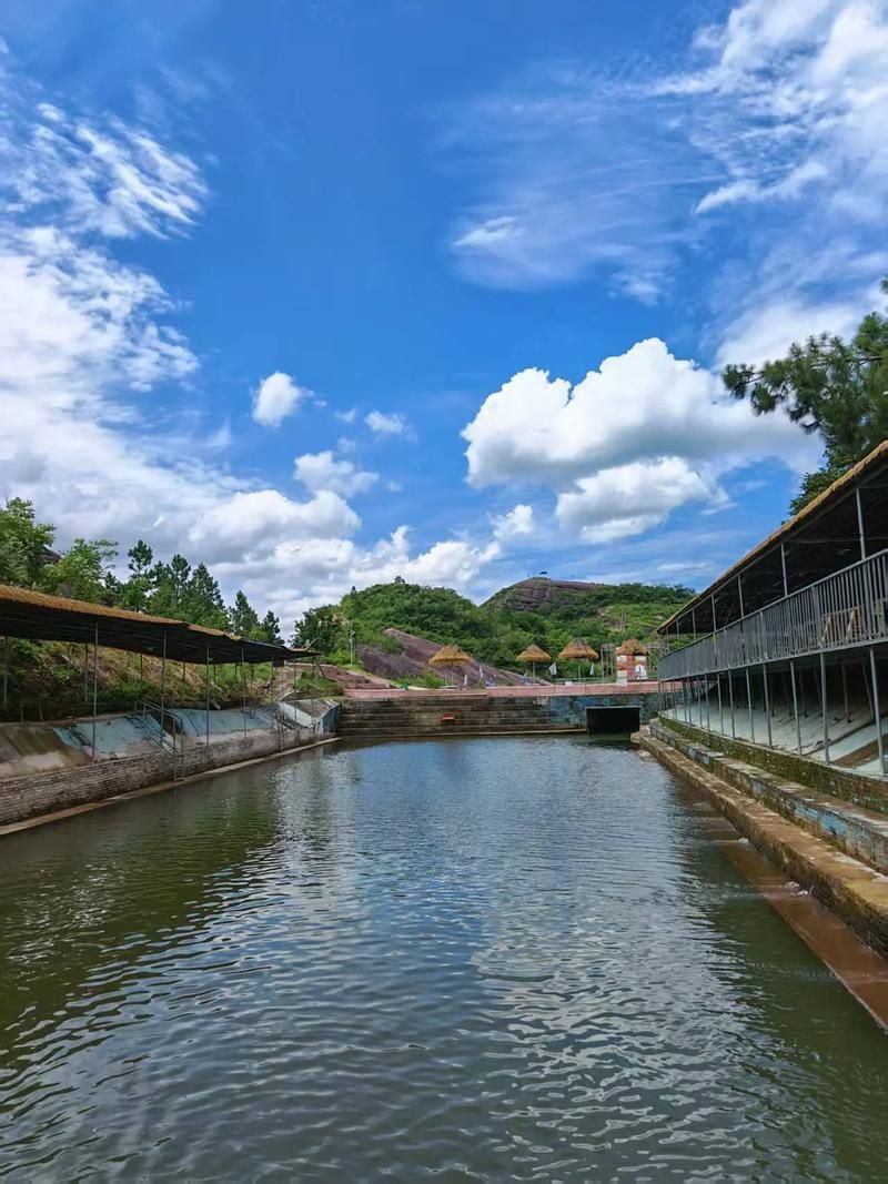 祥龍魚(yú)場(chǎng)在廣東有哪些合作基地?,祥龍魚(yú)場(chǎng)在全球知名觀賞魚(yú)養(yǎng)殖企業(yè) 龍魚(yú)百科 第6張 祥龍魚(yú)場(chǎng)在廣東有哪些合作基地?,祥龍魚(yú)場(chǎng)在全球知名觀賞魚(yú)養(yǎng)殖企業(yè) 祥龍魚(yú)場(chǎng)在廣東有哪些合作基地?,祥龍魚(yú)場(chǎng)在全球知名觀賞魚(yú)養(yǎng)殖企業(yè) 龍魚(yú)百科 第6張