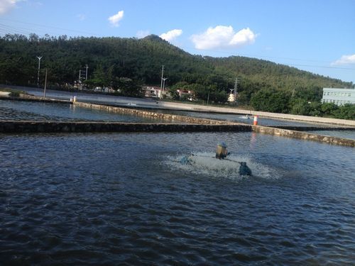 祥龍魚場在廣東有哪些合作基地？，祥龍魚場在全球知名觀賞魚養殖企業