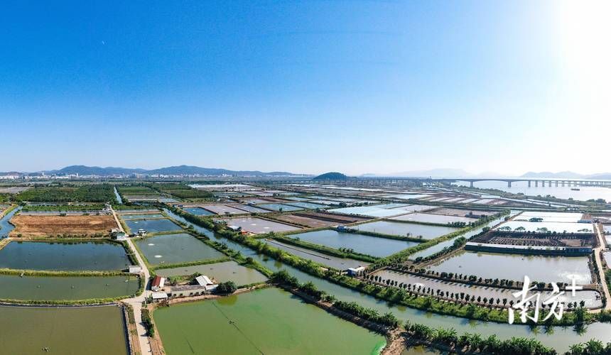 祥龍魚(yú)場(chǎng)在廣東有哪些合作基地?,祥龍魚(yú)場(chǎng)在全球知名觀賞魚(yú)養(yǎng)殖企業(yè) 龍魚(yú)百科 第4張 祥龍魚(yú)場(chǎng)在廣東有哪些合作基地?,祥龍魚(yú)場(chǎng)在全球知名觀賞魚(yú)養(yǎng)殖企業(yè) 祥龍魚(yú)場(chǎng)在廣東有哪些合作基地?,祥龍魚(yú)場(chǎng)在全球知名觀賞魚(yú)養(yǎng)殖企業(yè) 龍魚(yú)百科 第4張
