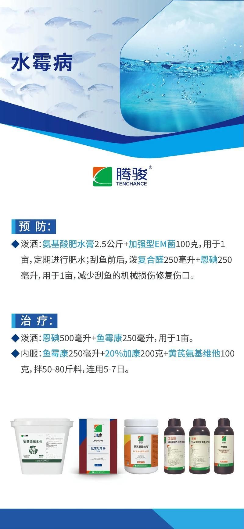 如何預防銀龍魚水霉病，如何預防銀龍魚水霉病預防勝于治療，科學管理是關鍵 如何預防銀龍魚水霉病，如何預防銀龍魚水霉病預防勝于治療，科學管理是關鍵 龍魚百科 第1張