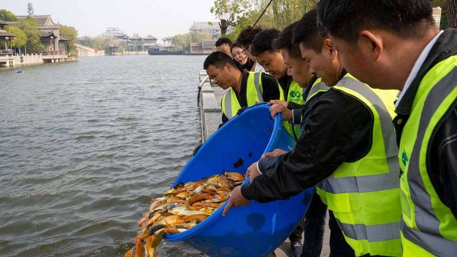 利鴻漁業(yè)和中聯(lián)天盛哪個(gè)蝴蝶鯉更出名，利鴻漁業(yè)和中聯(lián)天盛哪個(gè)蝴蝶鯉更出名，中聯(lián)天盛哪個(gè)更出名 利鴻漁業(yè)和中聯(lián)天盛哪個(gè)蝴蝶鯉更出名，利鴻漁業(yè)和中聯(lián)天盛哪個(gè)蝴蝶鯉更出名，中聯(lián)天盛哪個(gè)更出名 龍魚百科 第4張