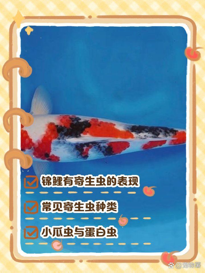 如何判斷魚類是否感染了寄生蟲，如何判斷魚類是否感染了寄生蟲，判斷魚類是否感染了寄生蟲