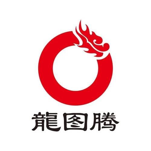 紅龍頭像的現代應用 龍魚百科 第10張 紅龍頭像的現代應用 紅龍頭像的現代應用 龍魚百科 第10張