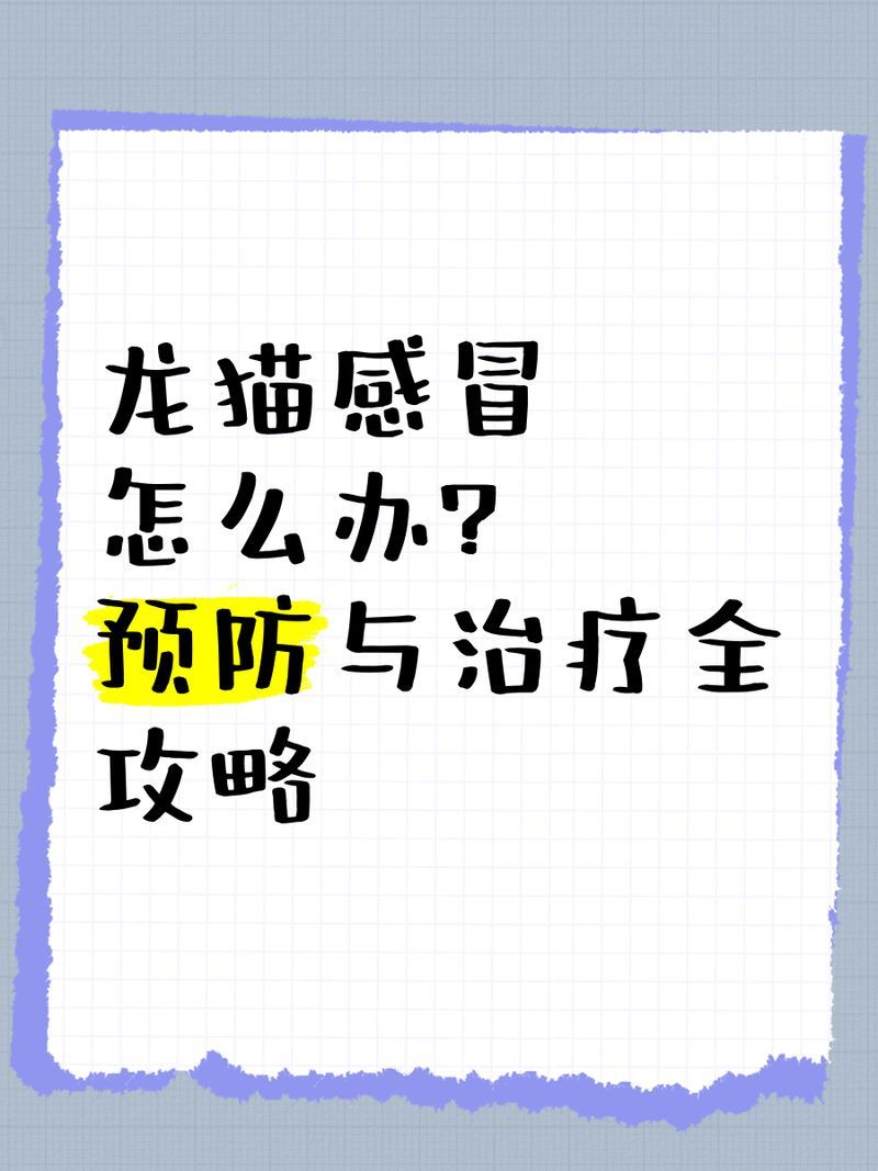如何科學降低龍貓傳染風險，如何科學的飼養龍貓 如何科學降低龍貓傳染風險，如何科學的飼養龍貓 龍魚百科 第2張