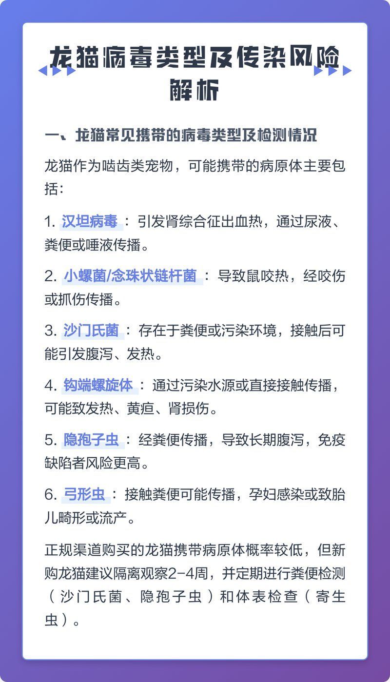 如何科學降低龍貓傳染風險，如何科學的飼養龍貓 如何科學降低龍貓傳染風險，如何科學的飼養龍貓 龍魚百科 第1張