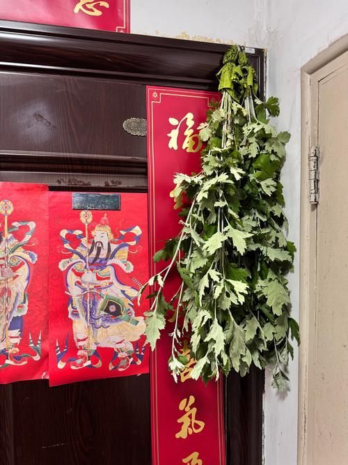 民俗應對措施有哪些，中國民俗應對措施的分類體系 民俗應對措施有哪些，中國民俗應對措施的分類體系 龍魚百科 第2張