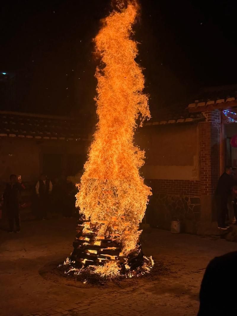 民俗應對措施有哪些，中國民俗應對措施的分類體系 民俗應對措施有哪些，中國民俗應對措施的分類體系 龍魚百科 第8張