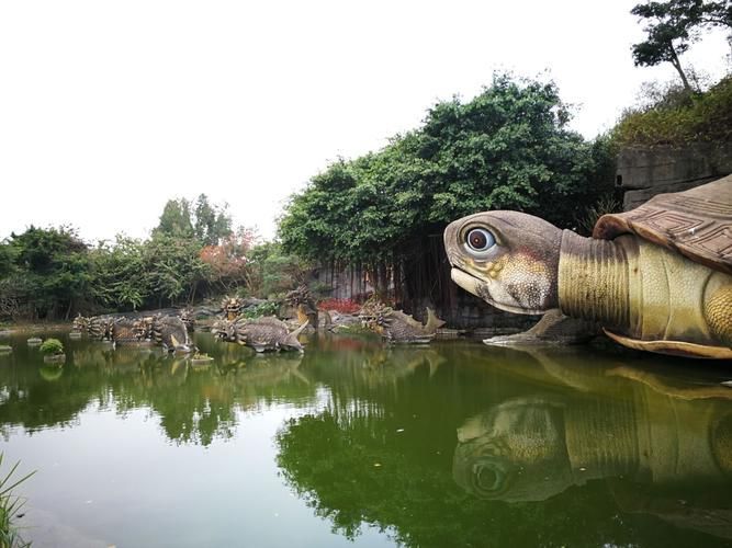 湖光巖景區有哪些龍魚目擊記錄?,湖光巖景區的“龍魚”目擊記錄成為了一處自然景觀 龍魚百科 第3張 湖光巖景區有哪些龍魚目擊記錄?,湖光巖景區的“龍魚”目擊記錄成為了一處自然景觀 湖光巖景區有哪些龍魚目擊記錄?,湖光巖景區的“龍魚”目擊記錄成為了一處自然景觀 龍魚百科 第3張