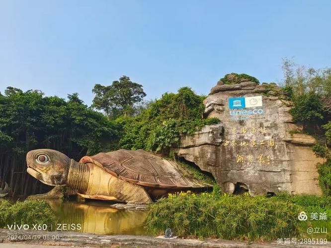 湖光巖景區有哪些龍魚目擊記錄?,湖光巖景區的“龍魚”目擊記錄成為了一處自然景觀 龍魚百科 第4張 湖光巖景區有哪些龍魚目擊記錄?,湖光巖景區的“龍魚”目擊記錄成為了一處自然景觀 湖光巖景區有哪些龍魚目擊記錄?,湖光巖景區的“龍魚”目擊記錄成為了一處自然景觀 龍魚百科 第4張
