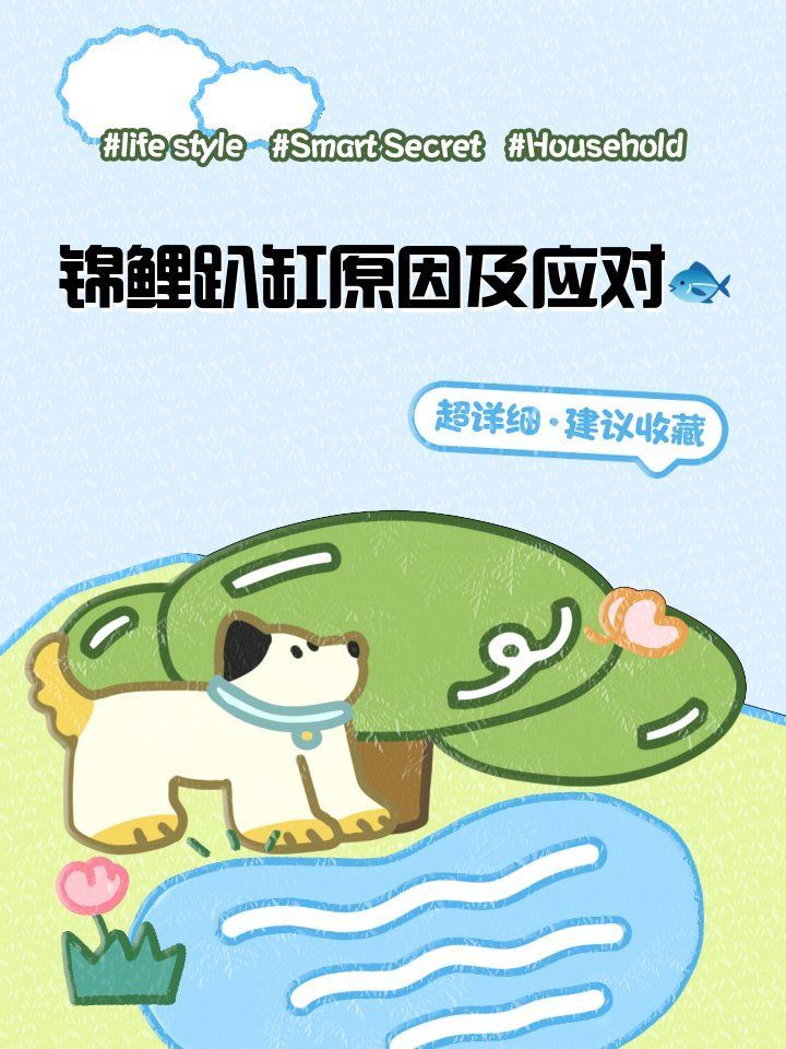 錦鯉趴缸多久會恢復，錦鯉趴缸多久能恢復，主要取決于 錦鯉趴缸多久會恢復，錦鯉趴缸多久能恢復，主要取決于 龍魚百科 第2張