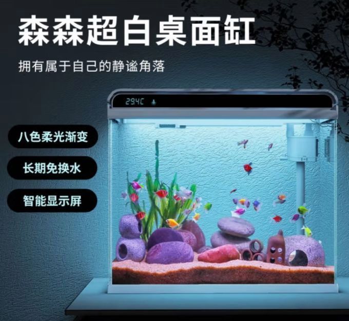 博特和森森哪個(gè)更適合新手？，博特和森森哪個(gè)更適合新手養(yǎng)魚森哪個(gè)更適合新手養(yǎng)魚 博特和森森哪個(gè)更適合新手？，博特和森森哪個(gè)更適合新手養(yǎng)魚森哪個(gè)更適合新手養(yǎng)魚 龍魚百科 第2張