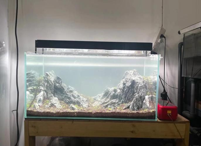 給我一些龍魚缸造景的圖片示例 給我一些龍魚缸造景的圖片示例 龍魚百科 第15張