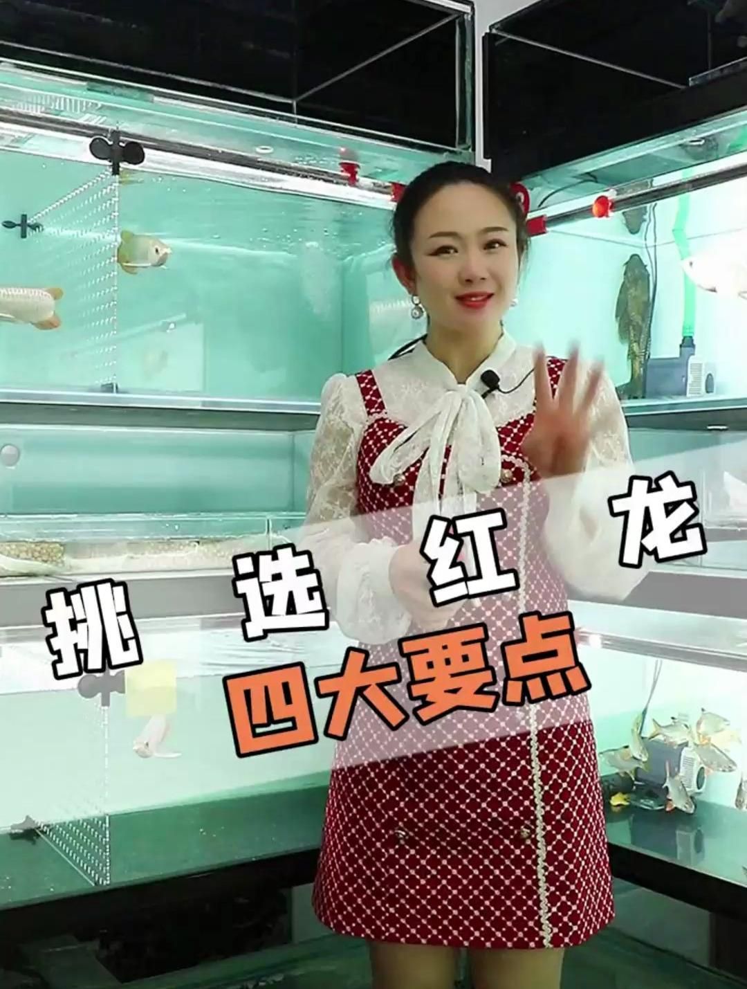 如何挑選新鮮的杜集龍魚(yú)，如何挑選新鮮的杜集龍魚(yú),“杜集龍魚(yú)”并非真實(shí)存在的龍魚(yú)品種 如何挑選新鮮的杜集龍魚(yú)，如何挑選新鮮的杜集龍魚(yú),“杜集龍魚(yú)”并非真實(shí)存在的龍魚(yú)品種 龍魚(yú)百科 第1張