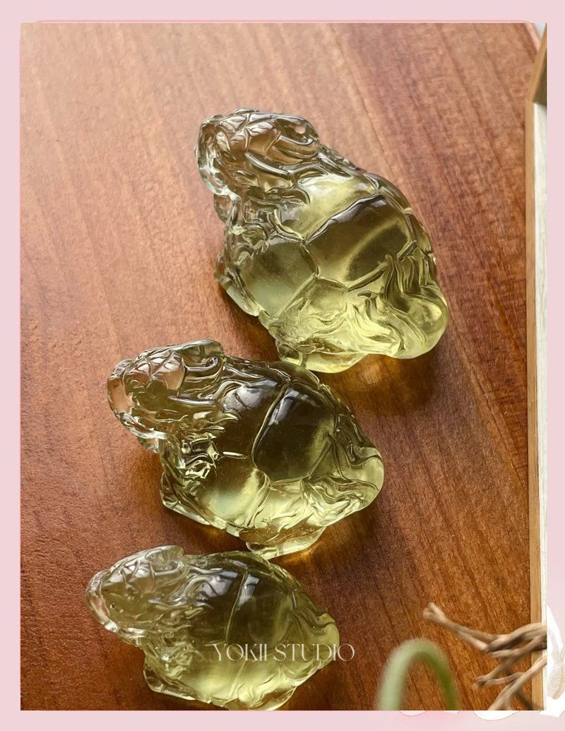 如何正確擺放龍龜，如何正確擺放龍龜，正確擺放龍龜?shù)臄[放方向是什么 如何正確擺放龍龜，如何正確擺放龍龜，正確擺放龍龜?shù)臄[放方向是什么 龍魚百科 第1張