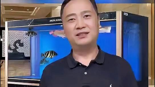 金魚(yú)大肚子是懷孕了嗎，金魚(yú)大肚子并不一定意味著它懷孕了