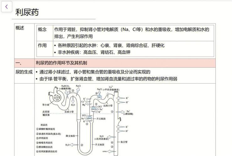 有哪些常見的聯(lián)合用藥方案，二甲雙胍利尿劑、糖尿病中二甲雙胍+吡嗪酰胺等聯(lián)合用藥方案