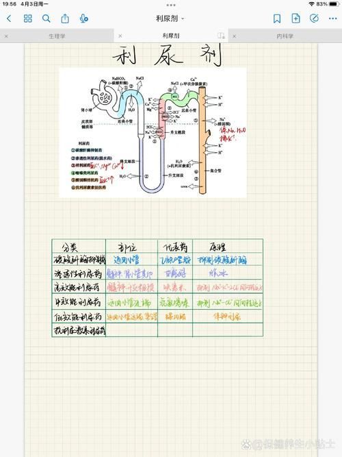 有哪些常見的聯(lián)合用藥方案，二甲雙胍利尿劑、糖尿病中二甲雙胍+吡嗪酰胺等聯(lián)合用藥方案