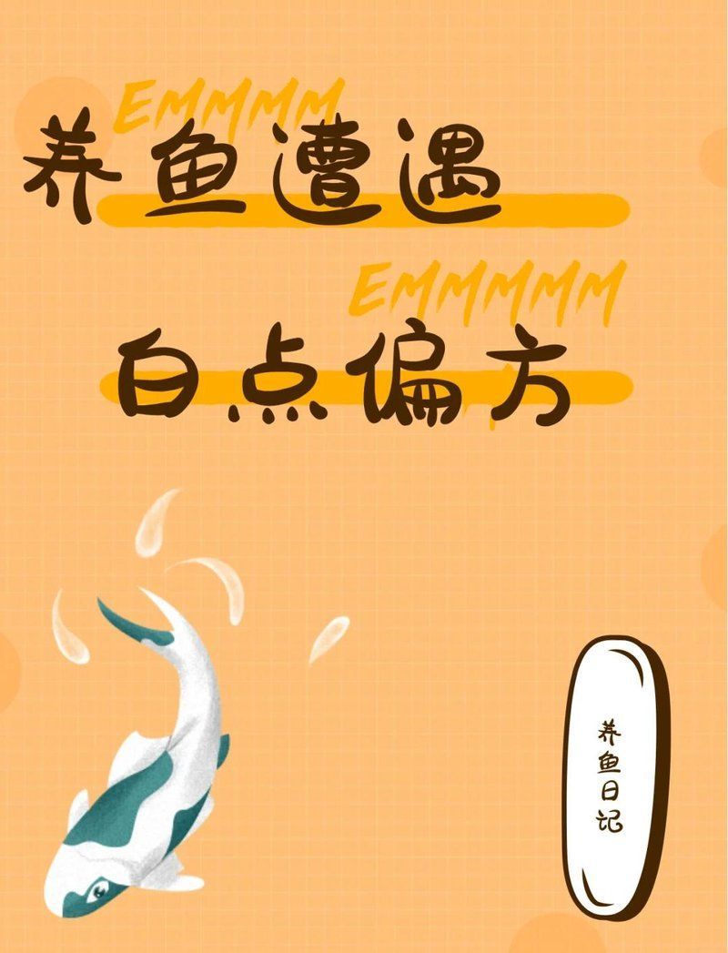 金魚白點病能徹底治愈嗎，金魚白點病治療全攻略職業打jia人在此 金魚白點病能徹底治愈嗎，金魚白點病治療全攻略職業打jia人在此 龍魚百科 第2張