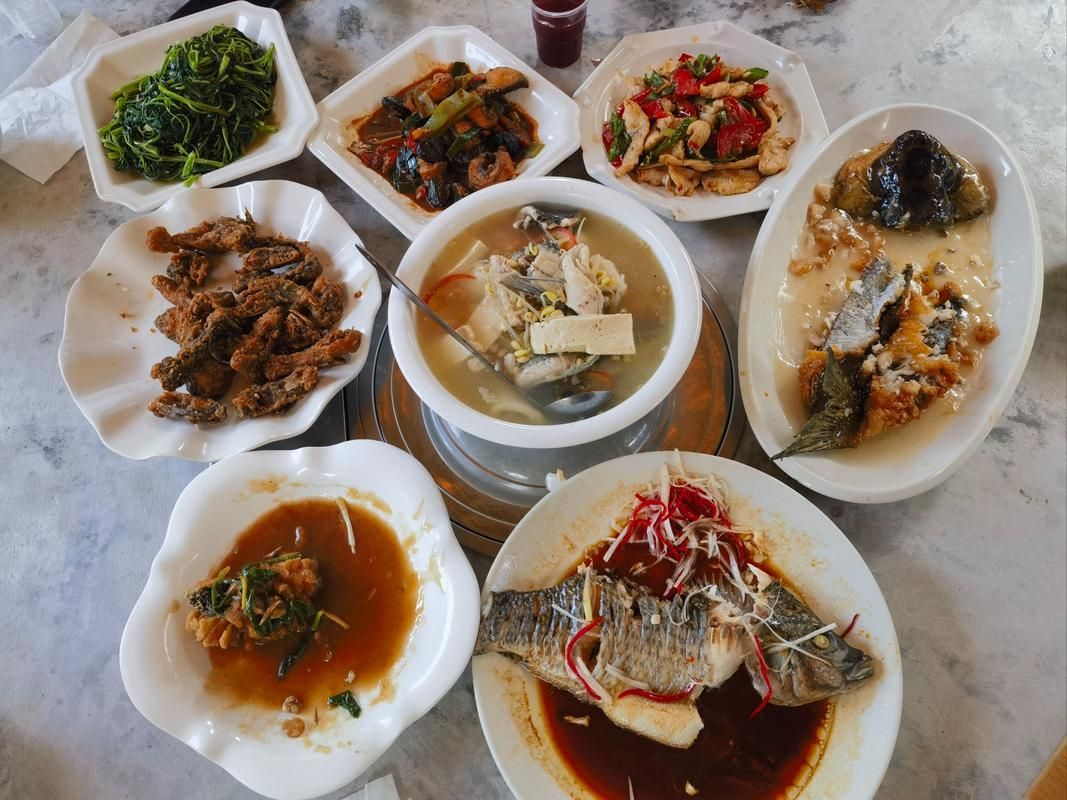 給我推薦幾家撫寧龍魚全魚宴的名店，撫寧龍魚全魚宴名店推薦 給我推薦幾家撫寧龍魚全魚宴的名店，撫寧龍魚全魚宴名店推薦 龍魚百科 第2張