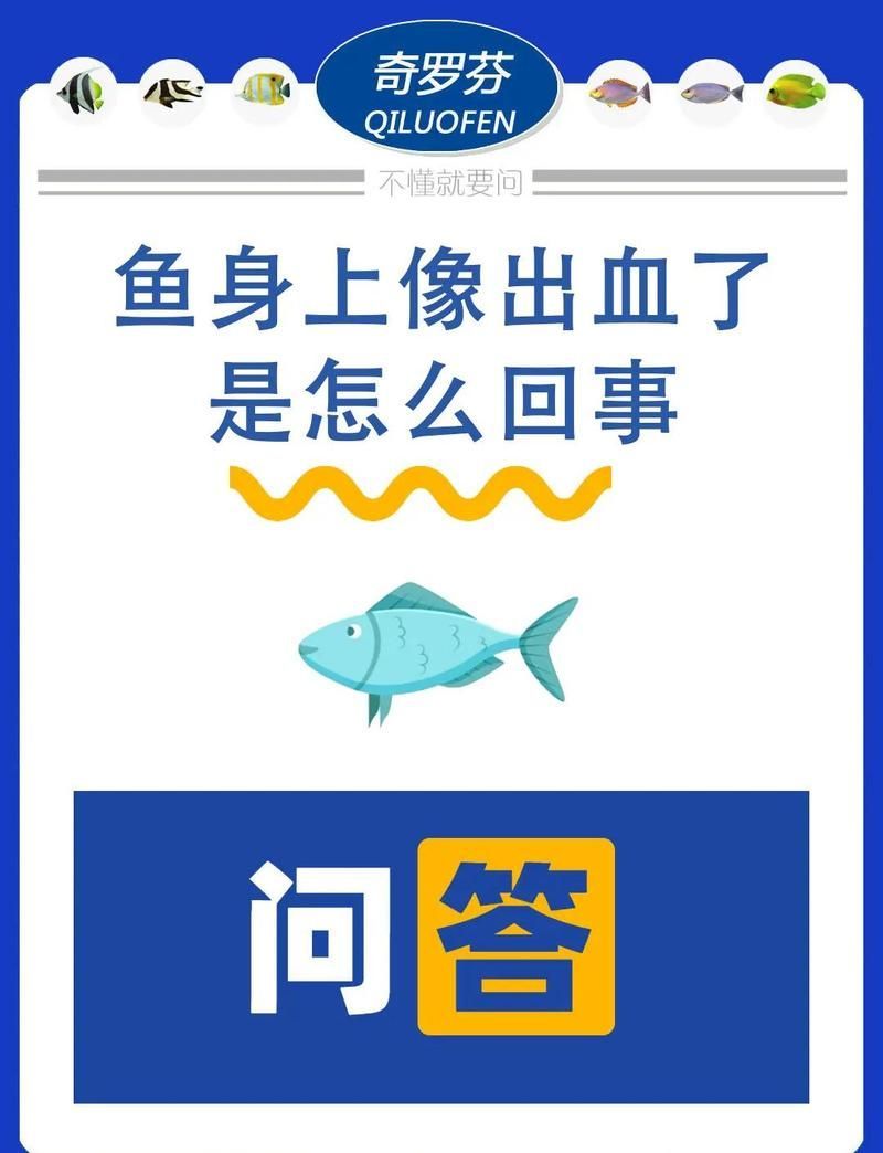有哪些藥物可以治療魚充血，治療魚充血的常用藥物 有哪些藥物可以治療魚充血，治療魚充血的常用藥物 龍魚百科 第2張