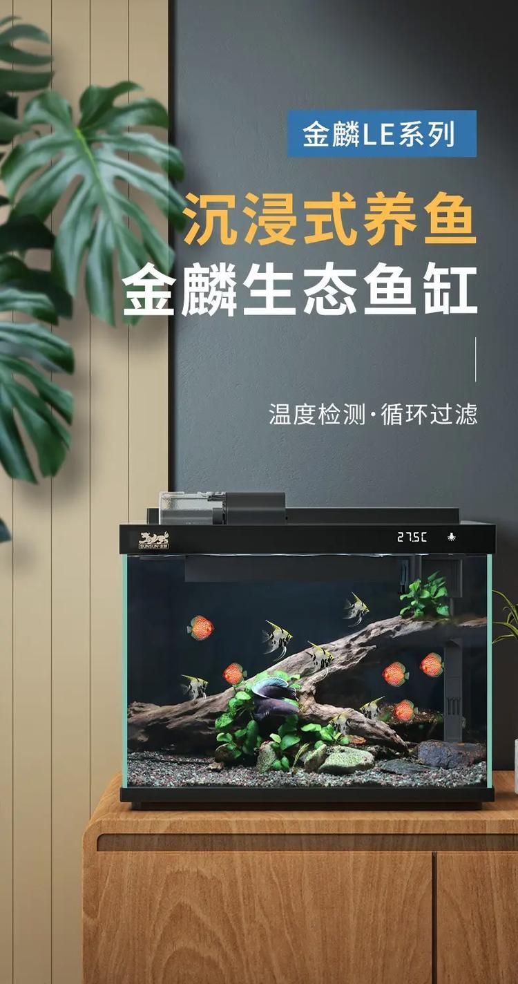 森森魚缸有哪些系列？，性價比高的森森魚缸系列， 森森魚缸有哪些系列？，性價比高的森森魚缸系列， 龍魚百科 第3張