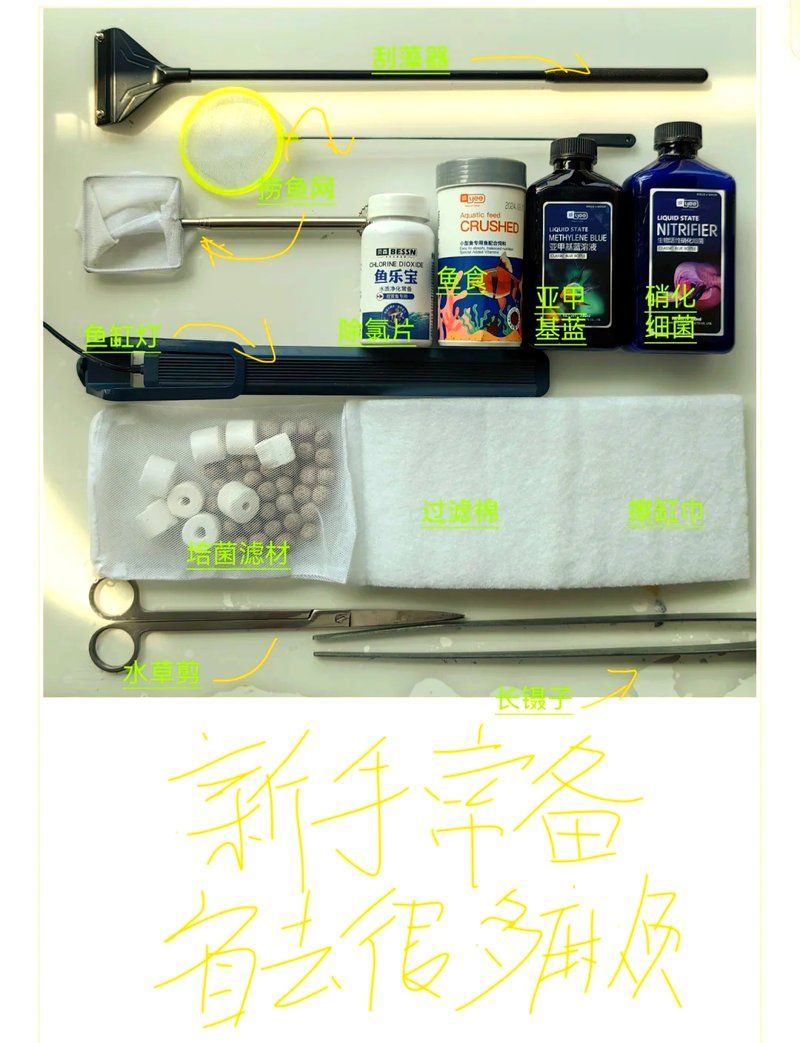 龍魚苗飼養需要哪些設備，龍魚苗飼養需要哪些品牌龍魚苗飼養設備推薦 龍魚苗飼養需要哪些設備，龍魚苗飼養需要哪些品牌龍魚苗飼養設備推薦 龍魚百科 第3張