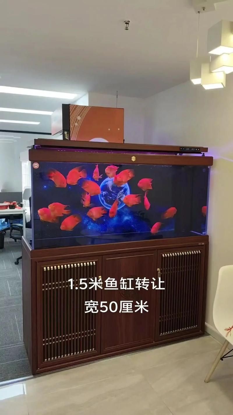 祥龍魚缸的價格范圍是多少？，祥龍魚缸價格范圍是多少祥龍魚缸的價格范圍是多少 祥龍魚缸的價格范圍是多少？，祥龍魚缸價格范圍是多少祥龍魚缸的價格范圍是多少 龍魚百科 第7張