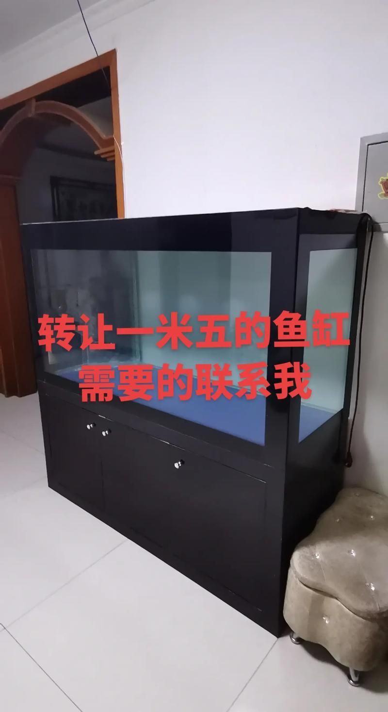 祥龍魚缸的價格范圍是多少？，祥龍魚缸價格范圍是多少祥龍魚缸的價格范圍是多少 祥龍魚缸的價格范圍是多少？，祥龍魚缸價格范圍是多少祥龍魚缸的價格范圍是多少 龍魚百科 第9張