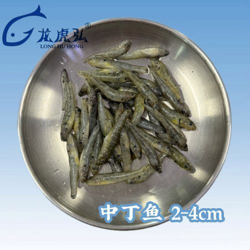 給我一些大港龍魚的飼養技巧，大港龍魚的飼養技巧 給我一些大港龍魚的飼養技巧，大港龍魚的飼養技巧 龍魚百科 第9張