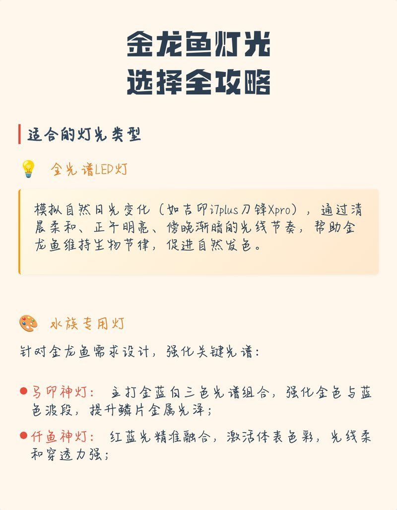 哪種燈光對金龍魚最佳？，金龍魚燈光照射多久合適金龍魚燈光照射多久合適 哪種燈光對金龍魚最佳？，金龍魚燈光照射多久合適金龍魚燈光照射多久合適 龍魚百科 第8張