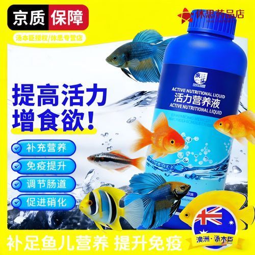 如何預(yù)防龍魚(yú)鰓蓋小洞,如何預(yù)防龍魚(yú)鰓蓋小洞(頭洞病) 龍魚(yú)百科 第7張 如何預(yù)防龍魚(yú)鰓蓋小洞,如何預(yù)防龍魚(yú)鰓蓋小洞(頭洞病) 如何預(yù)防龍魚(yú)鰓蓋小洞,如何預(yù)防龍魚(yú)鰓蓋小洞(頭洞病) 龍魚(yú)百科 第7張