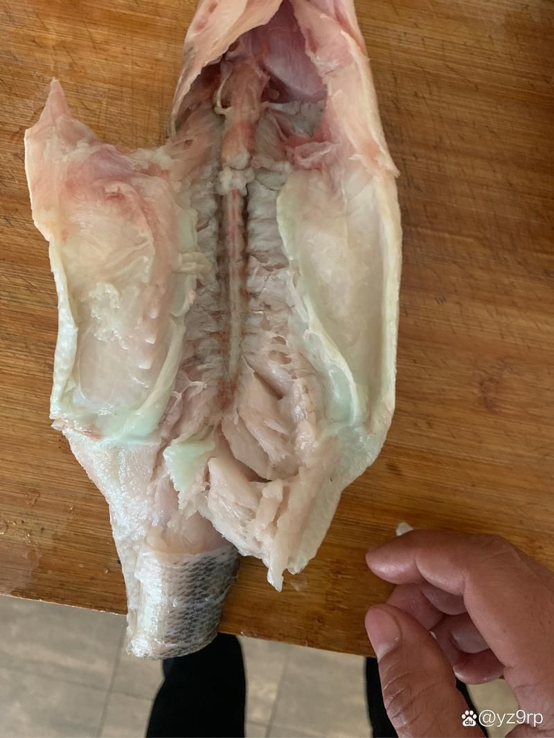 解凍后的魚多久不新鮮，解凍后的魚在室溫下放置超過兩小時(shí)，其新鮮度會(huì)顯著下降 解凍后的魚多久不新鮮，解凍后的魚在室溫下放置超過兩小時(shí)，其新鮮度會(huì)顯著下降 龍魚百科 第1張