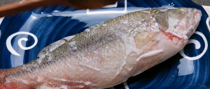 解凍后的魚多久不新鮮，解凍后的魚在室溫下放置超過兩小時(shí)，其新鮮度會(huì)顯著下降 解凍后的魚多久不新鮮，解凍后的魚在室溫下放置超過兩小時(shí)，其新鮮度會(huì)顯著下降 龍魚百科 第3張