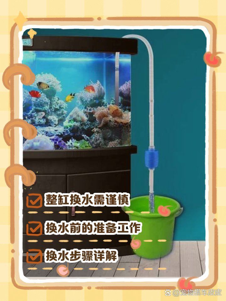 給我一份詳細(xì)的龍魚換水操作指南，如何判斷龍魚是否需要換水？