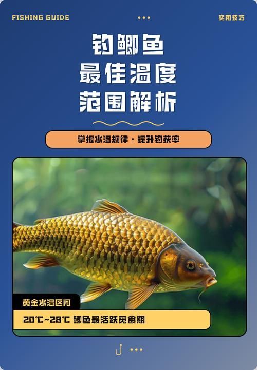 如何判斷魚類是否處于適宜水溫，arxiv論文助手判斷魚類是否處于適宜水溫差報(bào)警