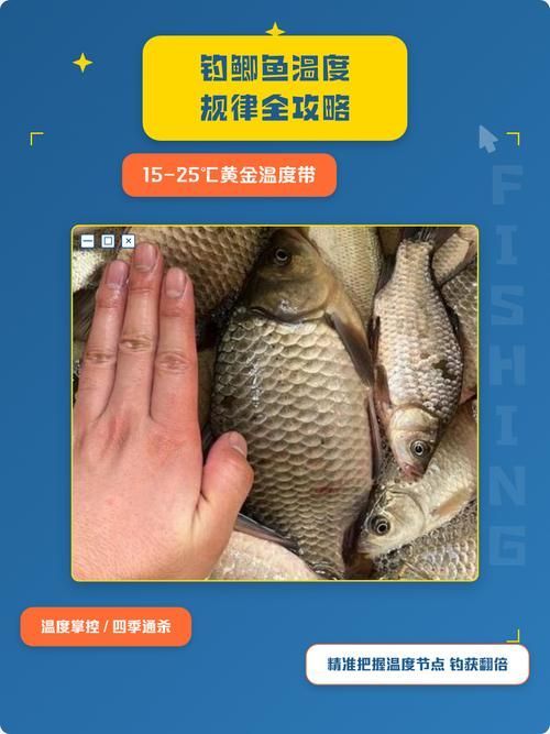 如何判斷魚類是否處于適宜水溫，arxiv論文助手判斷魚類是否處于適宜水溫差報(bào)警