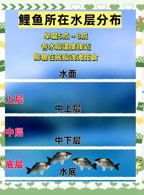 如何判斷魚類是否處于適宜水溫，arxiv論文助手判斷魚類是否處于適宜水溫差報(bào)警