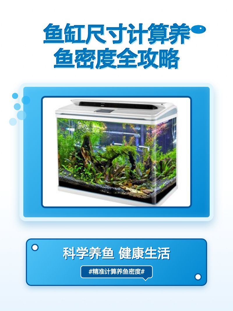 魚缸尺寸與養魚數量關系，發財宅宅宅,魚缸尺寸計算與養魚密度全攻略 魚缸尺寸與養魚數量關系，發財宅宅宅,魚缸尺寸計算與養魚密度全攻略 龍魚百科 第2張