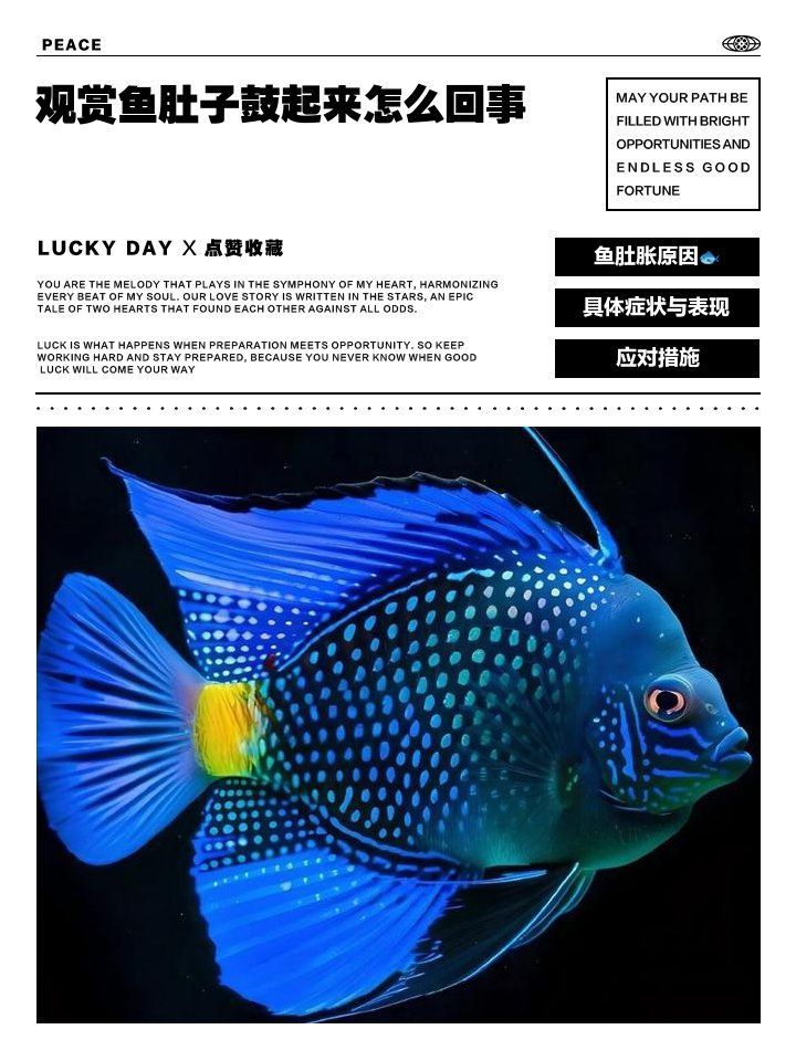 哪些魚類對腹水病有抵抗力，養殖腹水病對腹水病有抵抗力的魚類對腹水病有抵抗力 哪些魚類對腹水病有抵抗力，養殖腹水病對腹水病有抵抗力的魚類對腹水病有抵抗力 龍魚百科 第1張