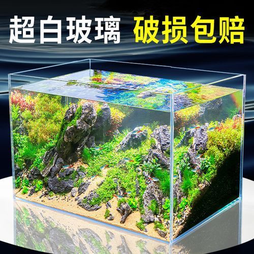 2025年魚缸價格范圍是多少，2025年主流魚缸型號對比表 2025年魚缸價格范圍是多少，2025年主流魚缸型號對比表 龍魚百科 第2張