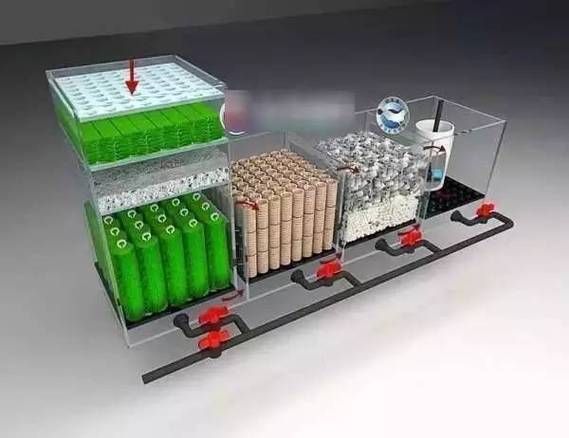 養(yǎng)龍魚需要哪些配套設(shè)施，養(yǎng)龍魚的配套設(shè)施 養(yǎng)龍魚需要哪些配套設(shè)施，養(yǎng)龍魚的配套設(shè)施 龍魚百科 第10張