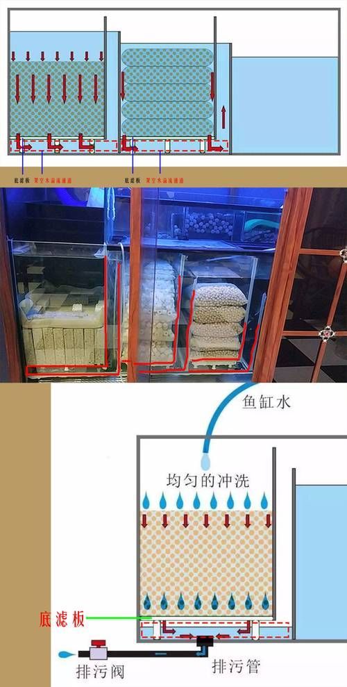 養(yǎng)龍魚需要哪些配套設(shè)施，養(yǎng)龍魚的配套設(shè)施 養(yǎng)龍魚需要哪些配套設(shè)施，養(yǎng)龍魚的配套設(shè)施 龍魚百科 第7張