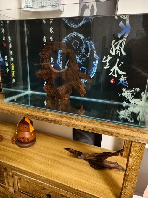 養(yǎng)龍魚需要哪些配套設(shè)施，養(yǎng)龍魚的配套設(shè)施 養(yǎng)龍魚需要哪些配套設(shè)施，養(yǎng)龍魚的配套設(shè)施 龍魚百科 第6張