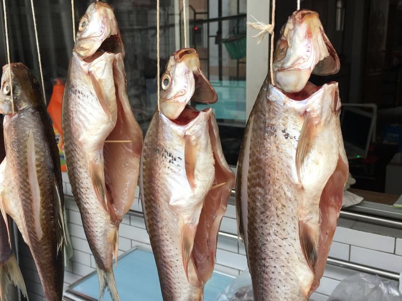 還有哪些鶴山龍魚吃法？，鶴山龍魚的吃法 還有哪些鶴山龍魚吃法？，鶴山龍魚的吃法 龍魚百科 第10張