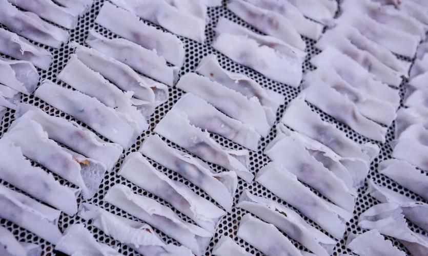 還有哪些鶴山龍魚吃法？，鶴山龍魚的吃法 還有哪些鶴山龍魚吃法？，鶴山龍魚的吃法 龍魚百科 第5張